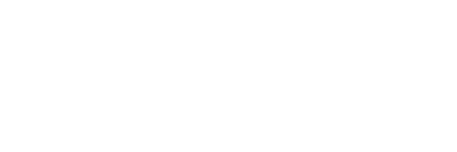 brand-Ariston